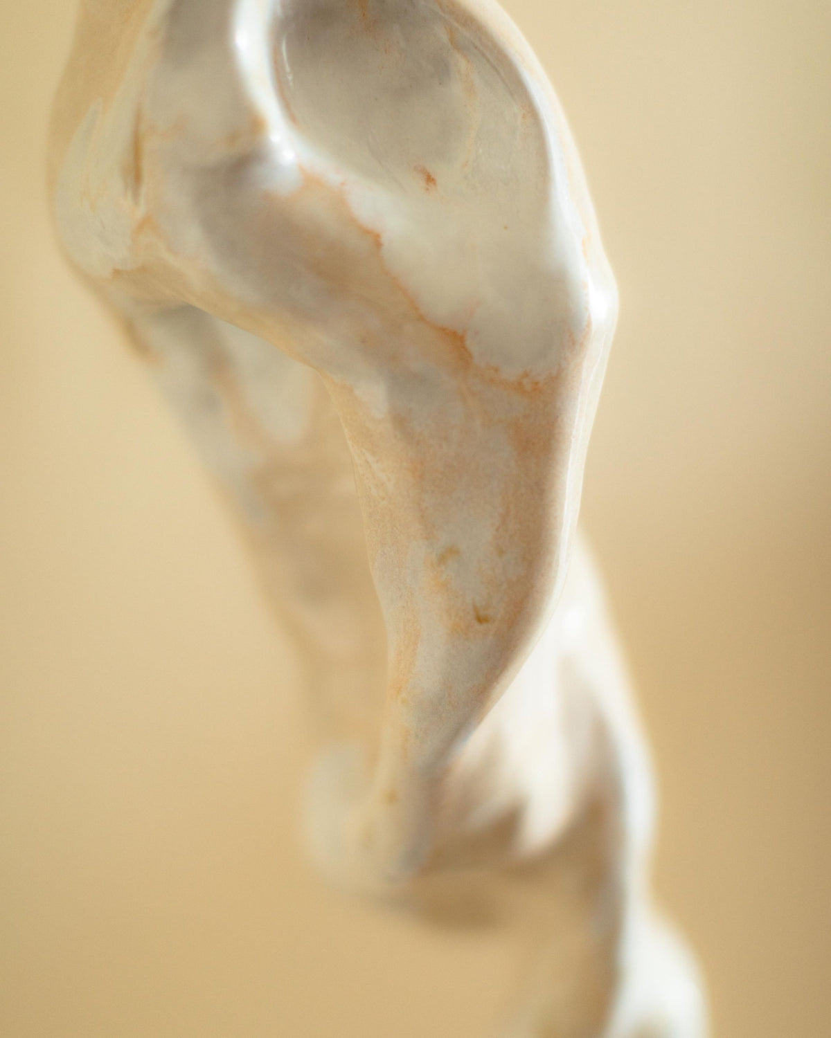 SELF PORTRAIT 0.2